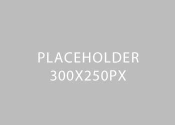 placeholder-350x250px